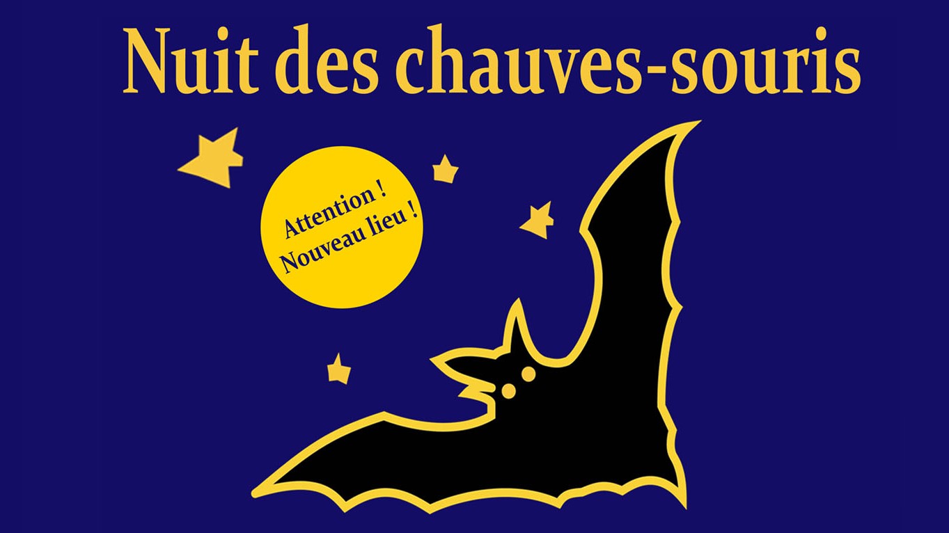 La nuit des chauves-souris aux Mines d'asphalte