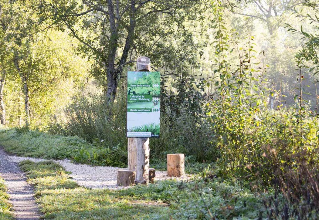 Réveil printanier du Jardin des mineurs