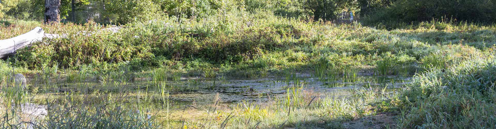 Der Garten der Minenarbeiter, Asphaltminen von La Presta, Val-de-Travers