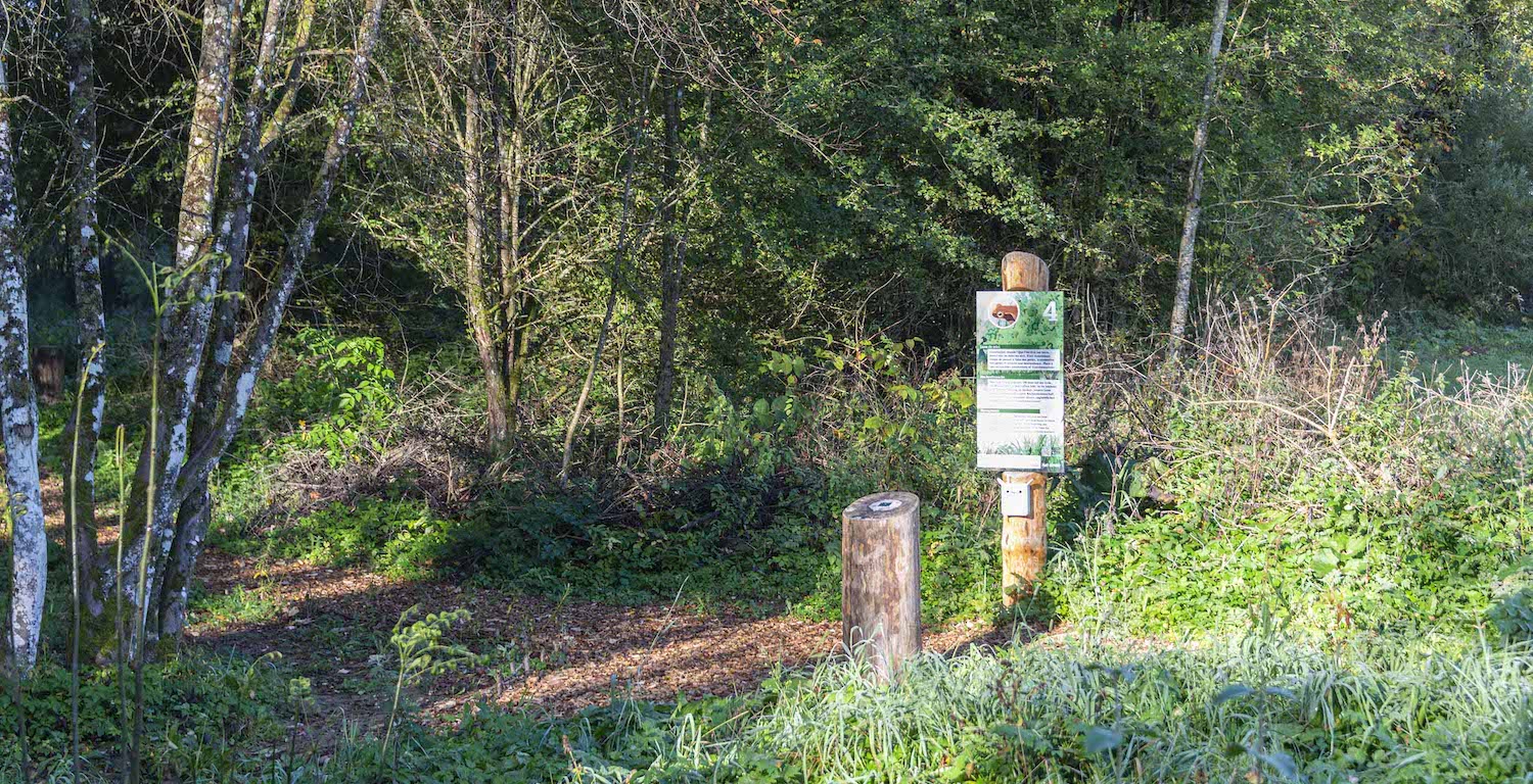 Jardin des Mineurs, biotope interactif, Mines d'asphalte, Val-de-Travers, Neuchatel